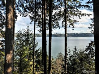 898 SE Dahman Road, Shelton, WA 98584
