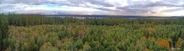 50 x Point Whitney Road, Brinnon, WA 98320