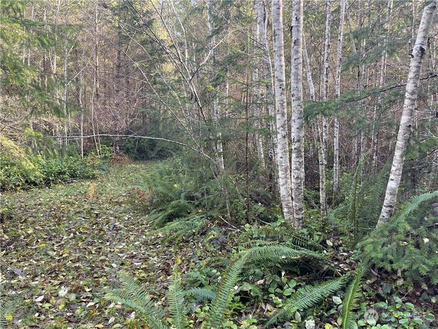 50 x Point Whitney Road, Brinnon, WA 98320