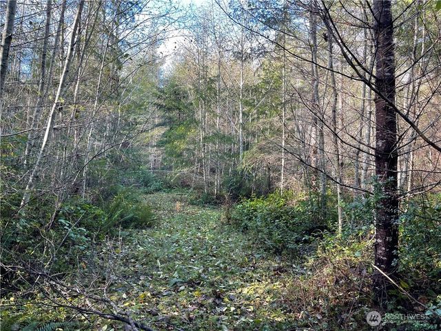 50 x Point Whitney Road, Brinnon, WA 98320