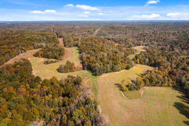 0 Buck Smith Road, Palmyra, TN 37142