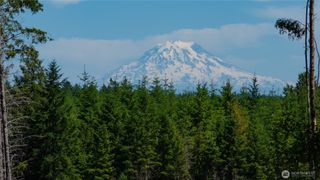 20 E Cascade View, Allyn, WA 98524