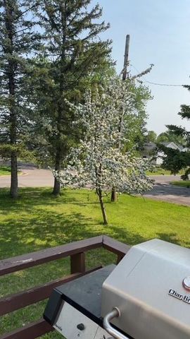 5030 Idlewild Street, Duluth, MN 55804