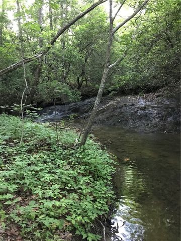 00 Marble Branch Trail, Walhalla, SC 29691