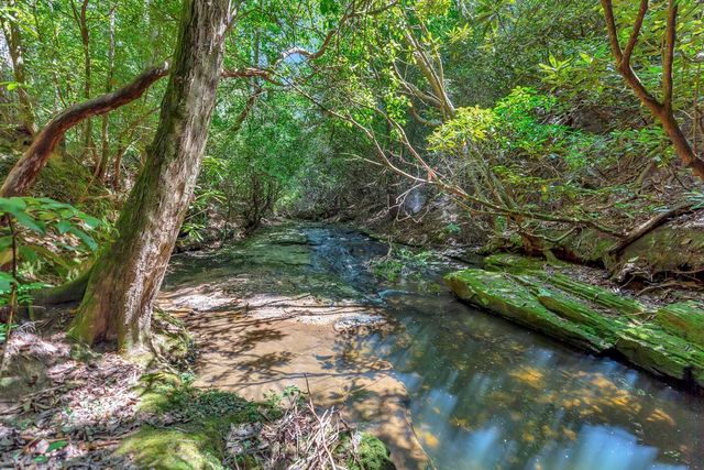 00 Marble Branch Trail, Walhalla, SC 29691