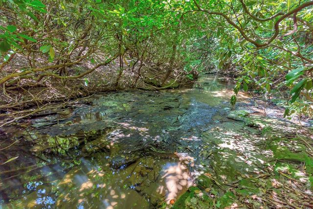 00 Marble Branch Trail, Walhalla, SC 29691