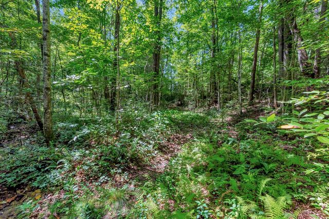00 Marble Branch Trail, Walhalla, SC 29691