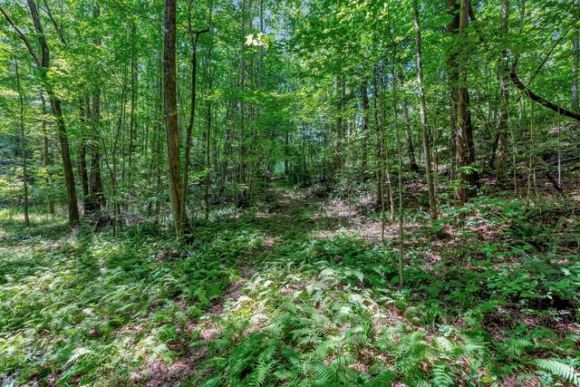 00 Marble Branch Trail, Walhalla, SC 29691