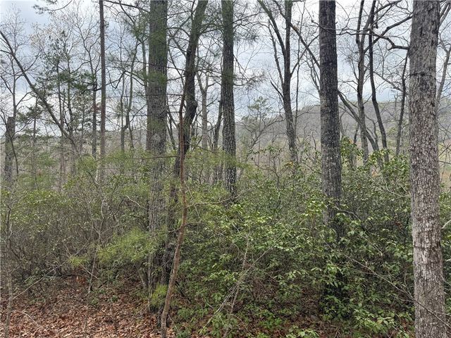 00 Marble Branch Trail, Walhalla, SC 29691