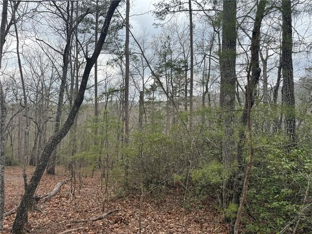 00 Marble Branch Trail, Walhalla, SC 29691