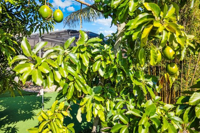 14554 BLACK LAKE PRESERVE STREET, Winter Garden, FL 34787