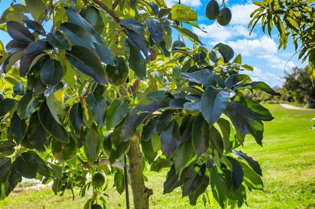 14554 BLACK LAKE PRESERVE STREET, Winter Garden, FL 34787