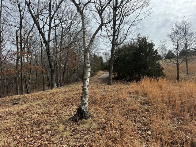 106 NC 6504, Pelsor, AR 72856