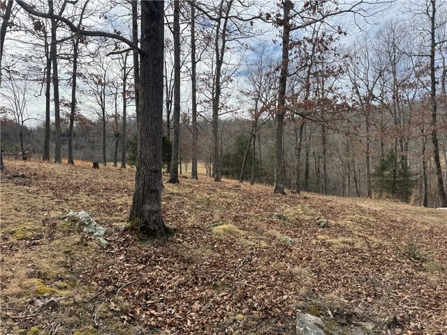 106 NC 6504, Pelsor, AR 72856