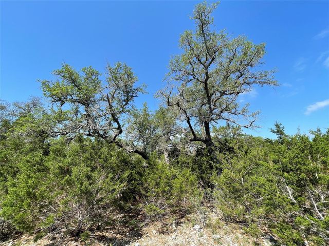 1117 Madrone, Fischer, TX 78623