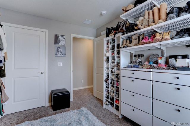 4766 Fiadore Lane, Castle Rock, CO 80104