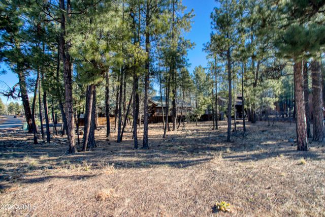 5702 HIDDEN OAK Drive 12, Pinetop, AZ 85935