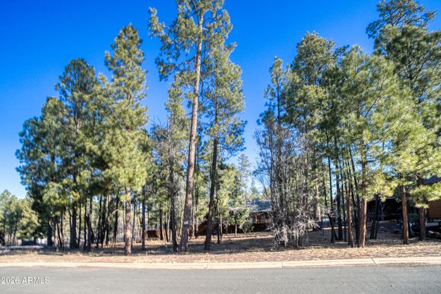 5702 HIDDEN OAK Drive 12, Pinetop, AZ 85935