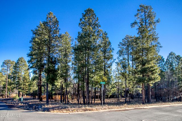 5702 HIDDEN OAK Drive 12, Pinetop, AZ 85935