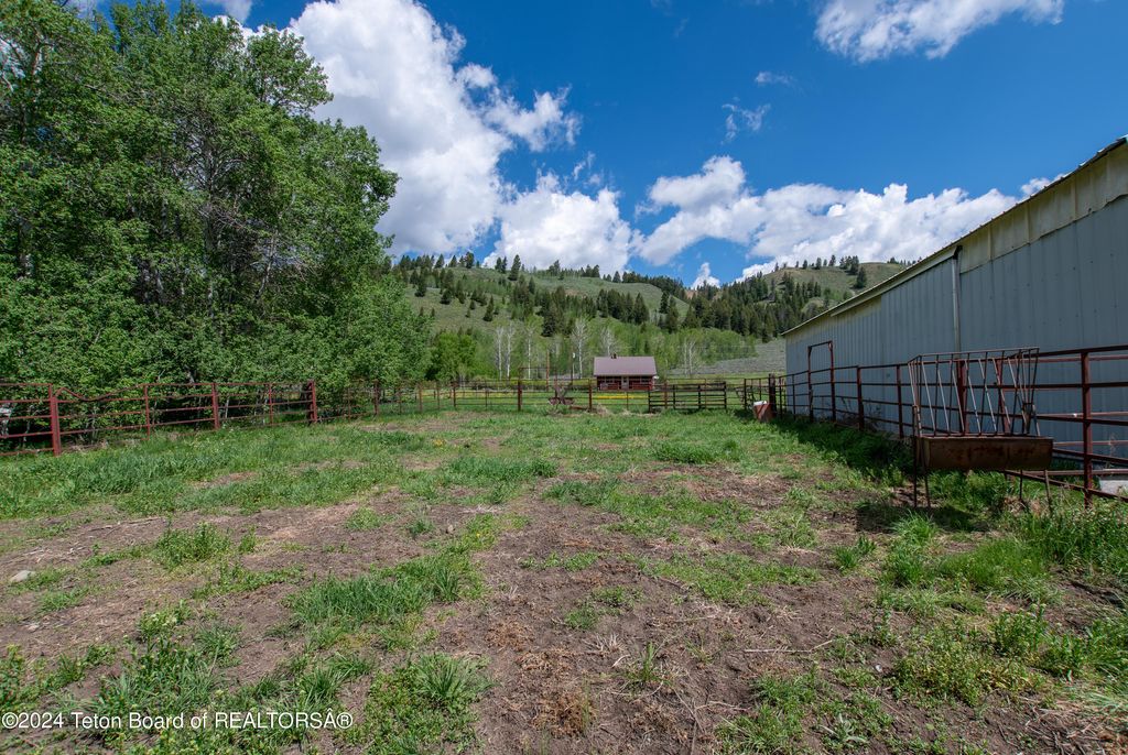 21850 BUFFALO VALLEY Road, Moran, WY 83013 photo 10