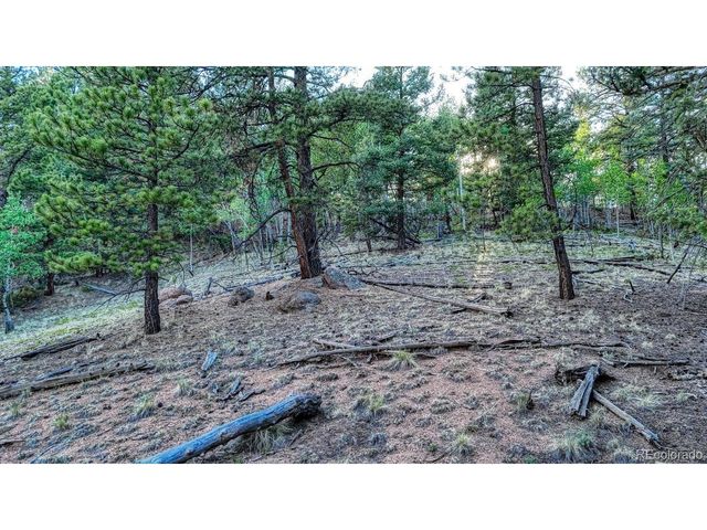 364 Blue Spruce Rd, Divide, CO 80814