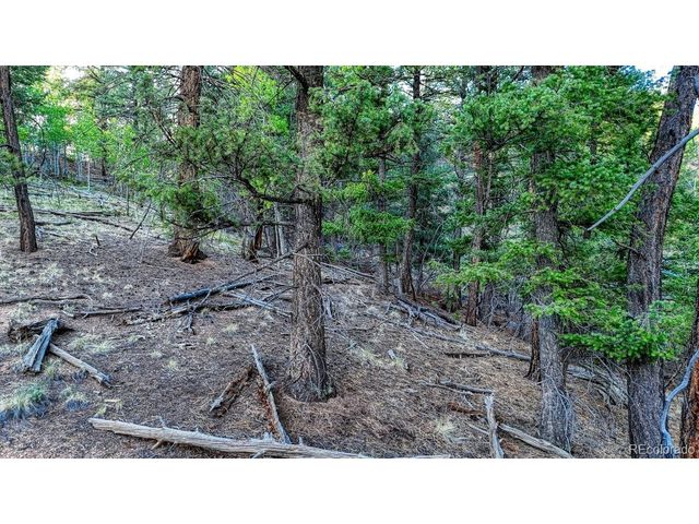 364 Blue Spruce Rd, Divide, CO 80814