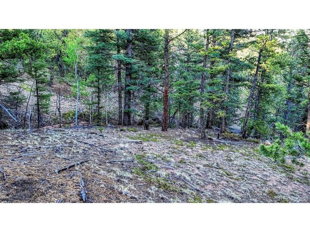 364 Blue Spruce Rd, Divide, CO 80814