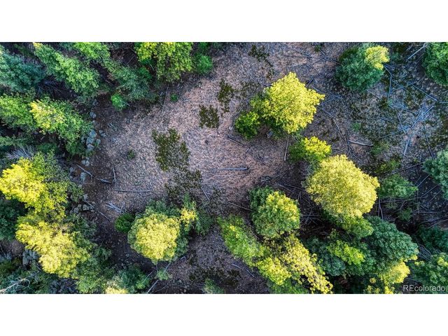 364 Blue Spruce Rd, Divide, CO 80814