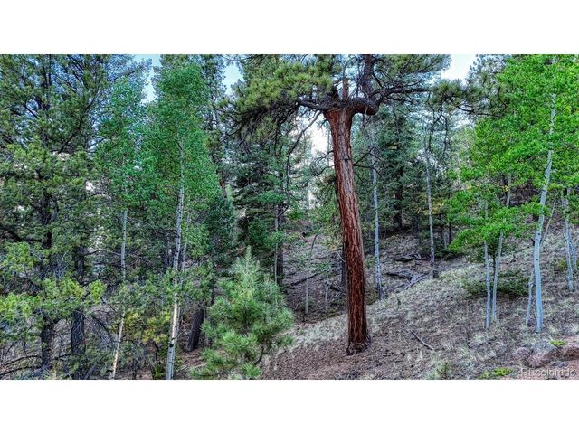 364 Blue Spruce Rd, Divide, CO 80814