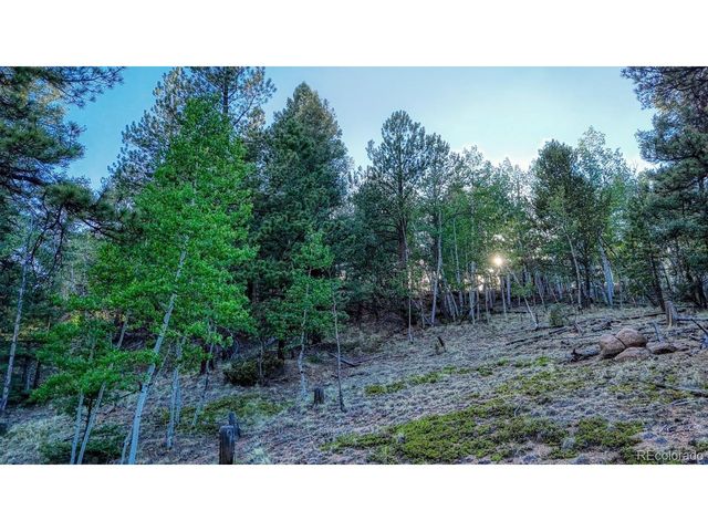 364 Blue Spruce Rd, Divide, CO 80814