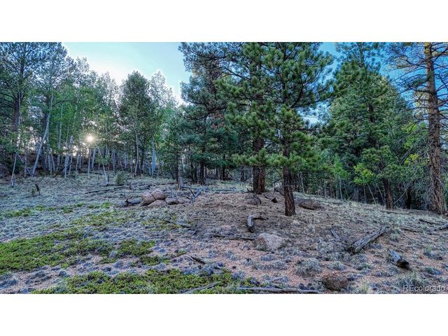 364 Blue Spruce Rd, Divide, CO 80814