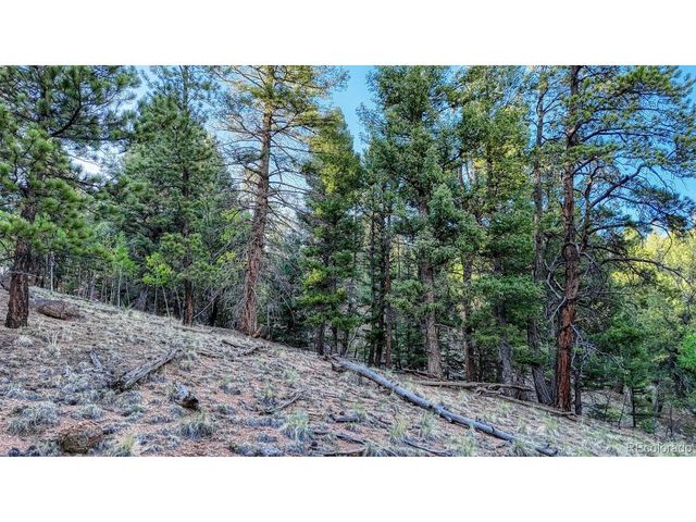 364 Blue Spruce Rd, Divide, CO 80814