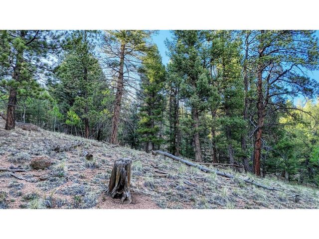 364 Blue Spruce Rd, Divide, CO 80814