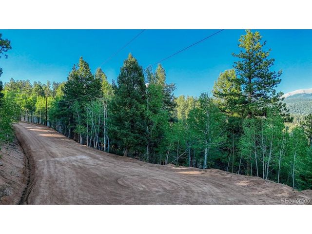 364 Blue Spruce Rd, Divide, CO 80814