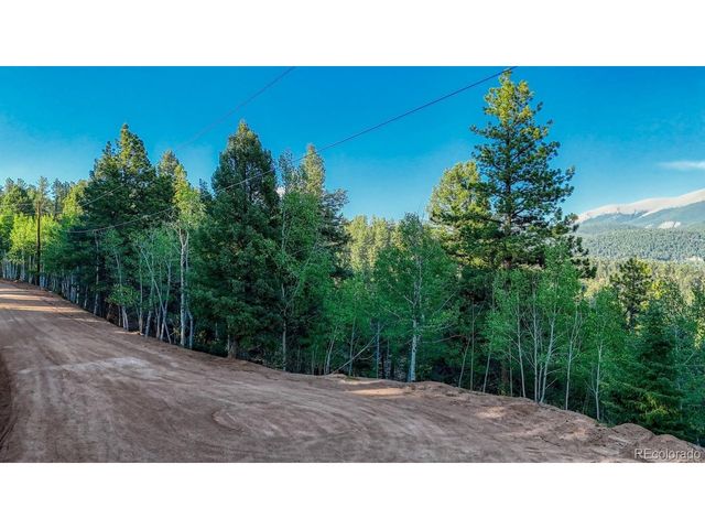 364 Blue Spruce Rd, Divide, CO 80814