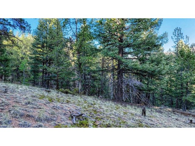 364 Blue Spruce Rd, Divide, CO 80814