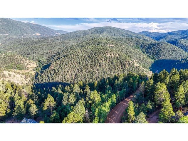 364 Blue Spruce Rd, Divide, CO 80814