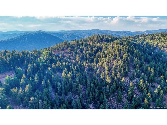 364 Blue Spruce Rd, Divide, CO 80814