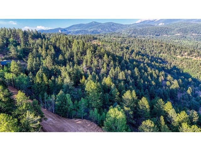 364 Blue Spruce Rd, Divide, CO 80814