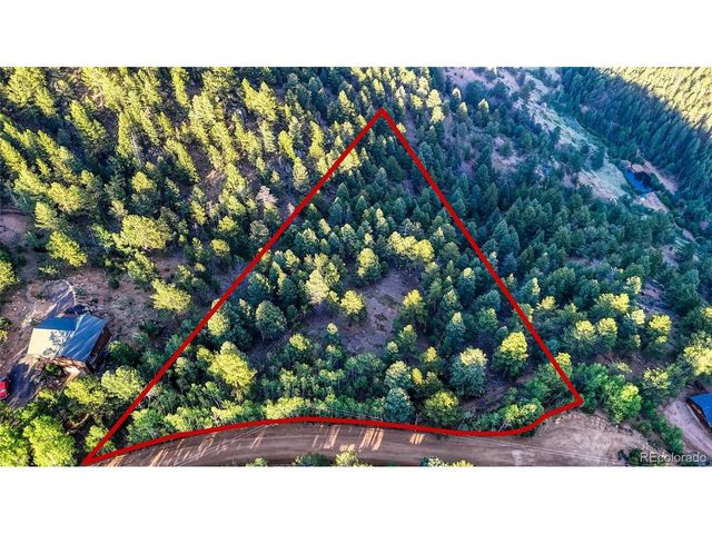 364 Blue Spruce Rd, Divide, CO 80814