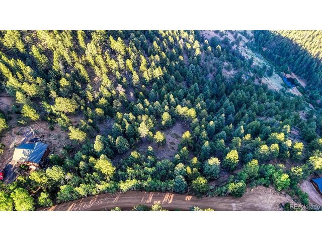 364 Blue Spruce Rd, Divide, CO 80814