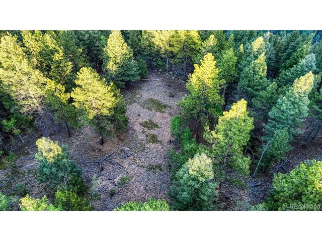 364 Blue Spruce Rd, Divide, CO 80814