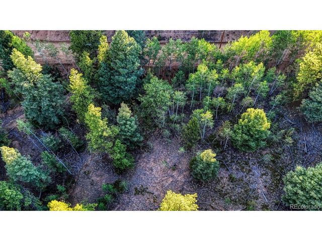 364 Blue Spruce Rd, Divide, CO 80814