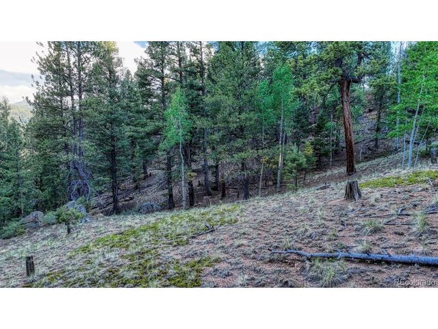 364 Blue Spruce Rd, Divide, CO 80814