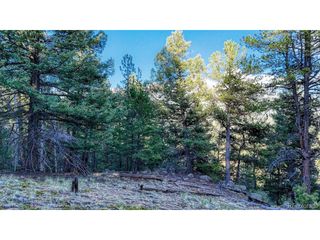 364 Blue Spruce Rd, Divide, CO 80814