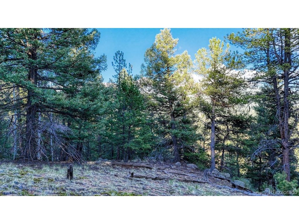 364 Blue Spruce Rd, Divide, CO 80814