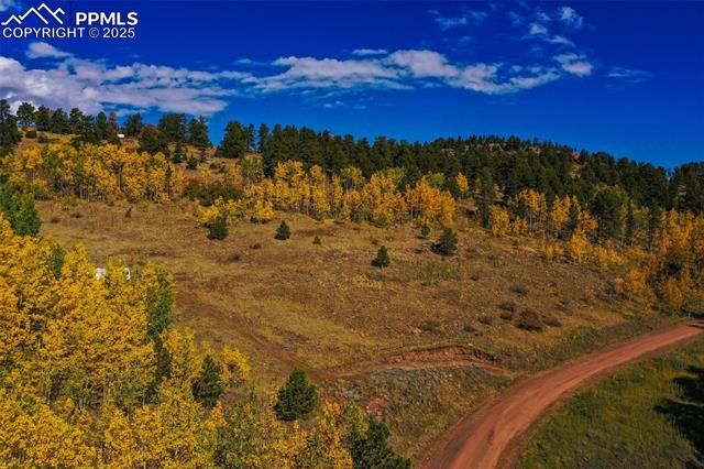 230 Penrose Circle, Cripple Creek, CO 80813