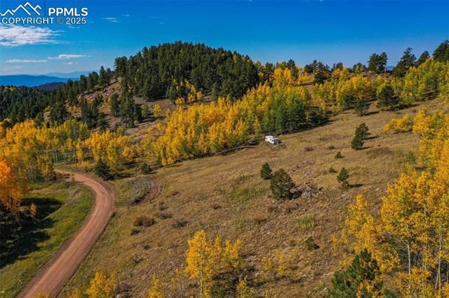 230 Penrose Circle, Cripple Creek, CO 80813