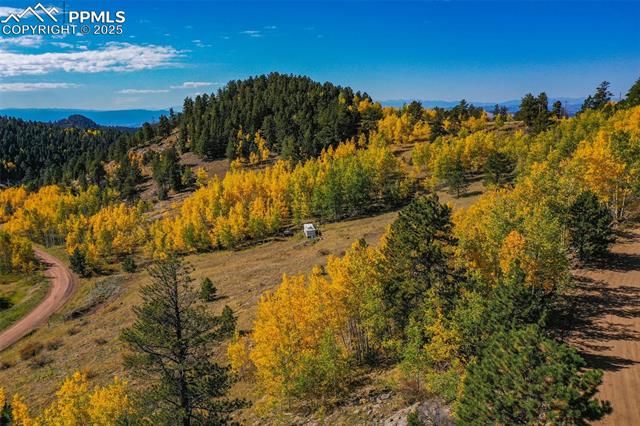 230 Penrose Circle, Cripple Creek, CO 80813