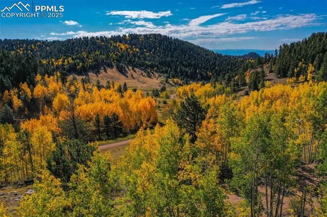 230 Penrose Circle, Cripple Creek, CO 80813